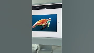 Как удалить фон прямо в фигме 🔥#вебдизайн #фигма #дизайнсайта #webdesign #uxui #обучениедизайну