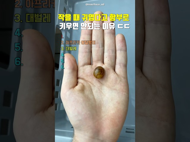 작을 때 귀엽다고 함부로 키우면 안되는 이유 ㄷㄷ