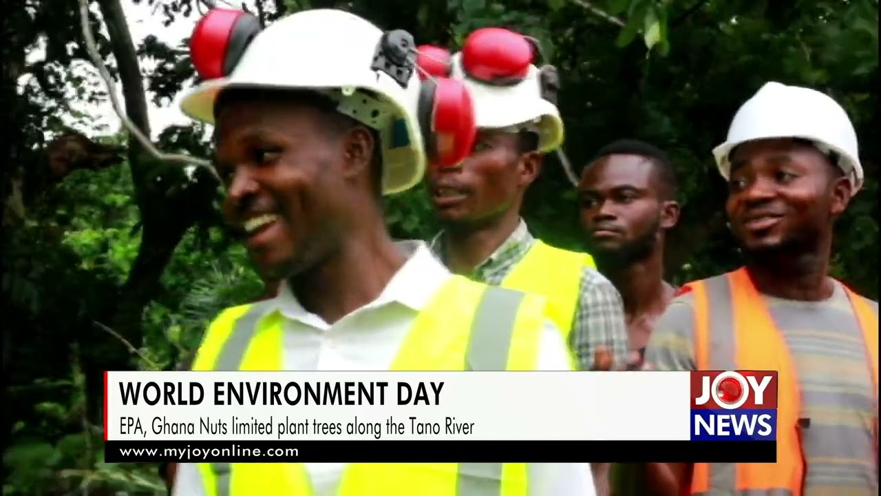 World Environment Day: EPA, Ghana Nuts limited to plant trees along the Tano River.