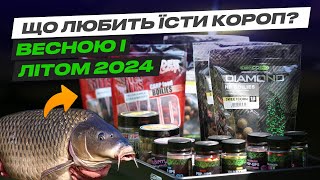 🔥 Чим потрібно годувати КОРОПА весною-літом? Корм, пелетс, зернові, ліквіди by Flagman - риболовля та туризм 4,617 views 10 days ago 12 minutes, 30 seconds