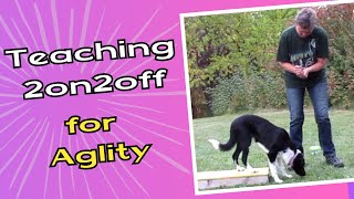 Agility Contact Training: Shaping the 2on2off Position 🐾🐾