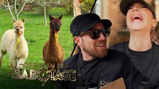 Sam and GK's DISASTROUS alpaca mission 🙈 | Celebrity Sabotage