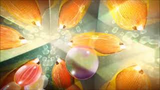 Nickelodeon Movies Logo the Spongebob Squarepants Movie Variant With Extracted  Channels