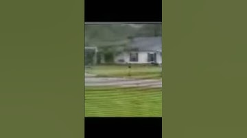 Look What the Neighbor’s Camera Captured. They Survived! link in #shorts @PawpawSammyAlyBug