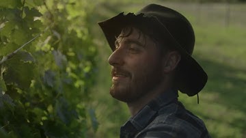 Cellr, the Customer Engagement Platform for Wine