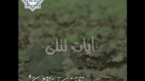 تلاوة راائعة للقارئ رعد الكردي🌺