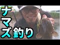 ルアーでナマズ釣りに初挑戦！