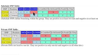 Using the CSV Analyzer Tool