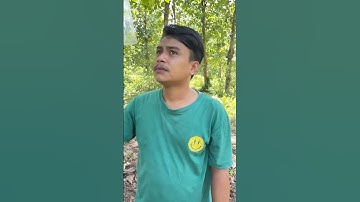 Simpel idee: bescherm het bos voor onze AARDE 🌍 #kamperen #overleven #bushcraft #buitenleven