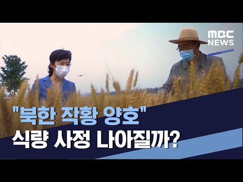 &amp;quot;북한 작황 <strong>양호</strong>&amp;quot; 식량 사정 나아질까? (2023.06.17/통일전망대/MBC)