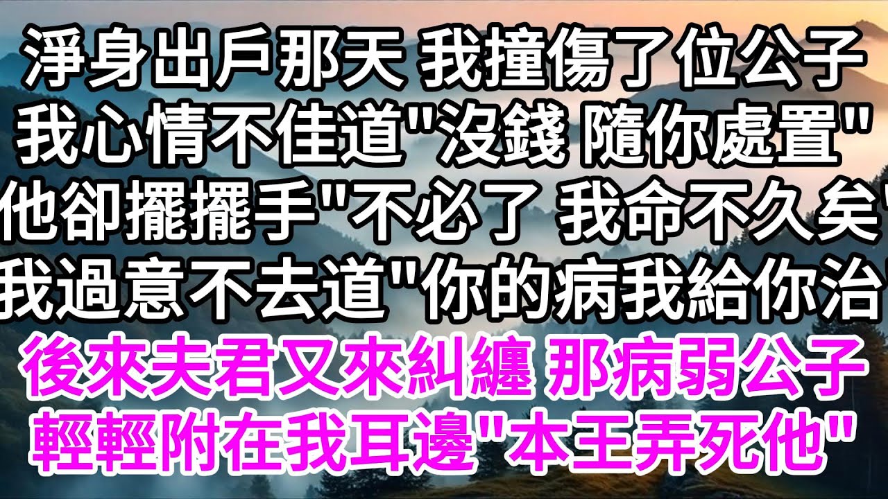 淨身出戶那天 我撞傷了位公子，我心情不佳道