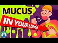 7 Causes of Increased Mucus in Your Lungs (Clearing Congestion)