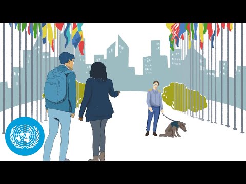 United Nations Security Explained | United Nations | Careers in Security