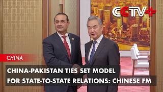 China-Pakistan Ties Set Model for State-to-State Relations: Chinese FM