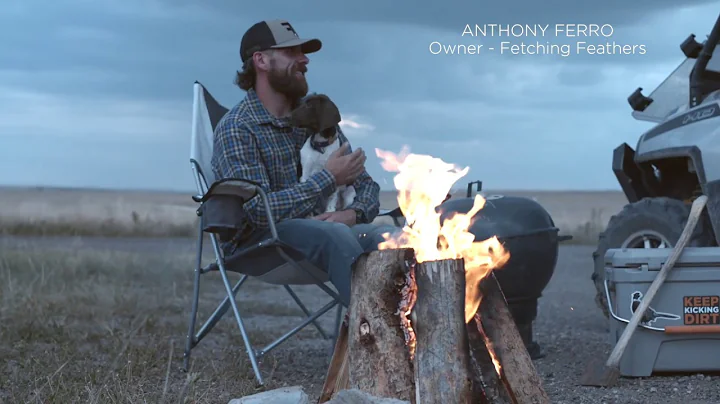 Anthony Ferro - Fetching Feathers