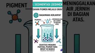pewarna alam #senibudaya #senikreasi #sbkkelas8 #natural #belajarseni #organik #beritaterkini #fyp