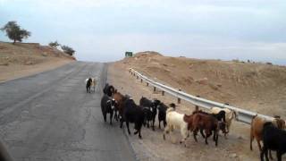 The Hot Springs of Ma'in, Jordan