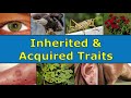 Traits That Define Us: Inherited and Acquired Characteristics in Nature