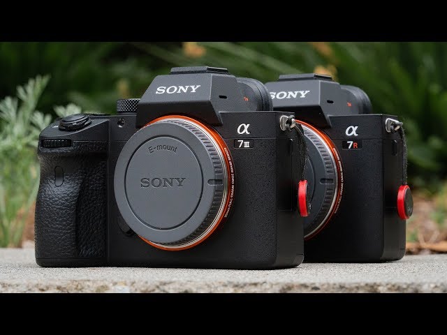 Sony a7III VS User Experience Review - BEST Hybrid Mirrorless Cameras of 2019 YouTube