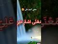 معني اسم علي Ali علي 