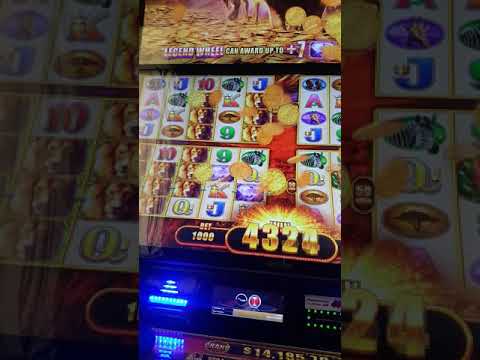 Buying the $140 Bonus on Piggy Burst Coin Trio at Choctaw Casino in Durant, Oklahoma #slot #gambling