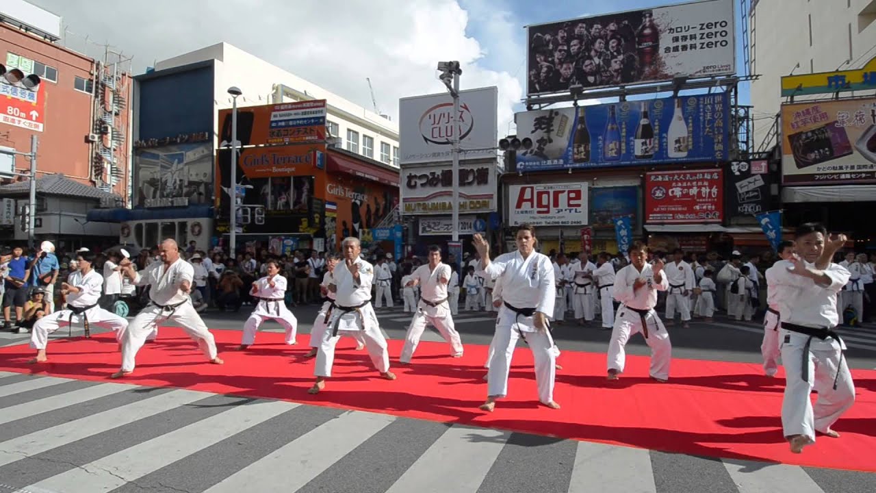 rengokai uechi ryu @ karate day / 空手の日2014 karate gi