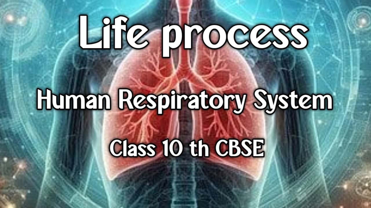 Life Processes | Human Respiratory System | Class 10th CBSE - YouTube