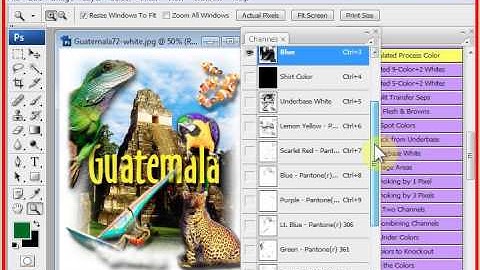 T-Seps 9-Color Simulated Process Color - Sample One