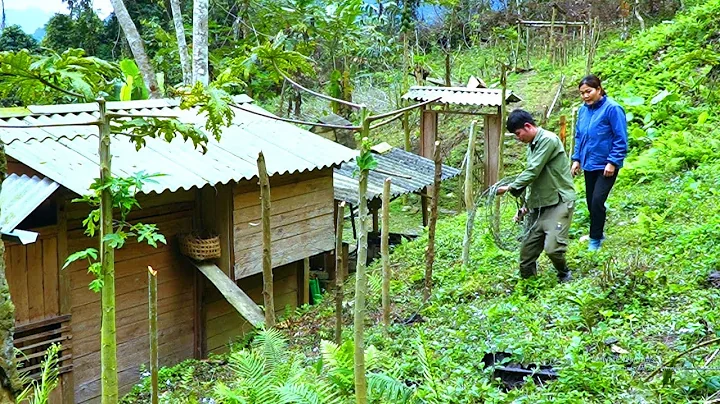 Hard days together. Harvesting bamboo shoots, Help the old man build a fence while he is away - DayDayNews