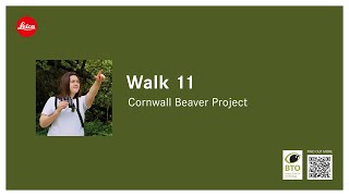 Cornwall Beaver Project with Felicity Jones - 11th '21 Wildlife Walks'