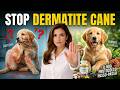 15 Rimedi per Dermatite e Prurito nel Cane: Batte Davvero Tutti i Farmaci?