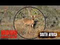 Fx impact airgun duiker hunt  south africa