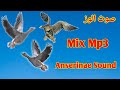 صوت الوز Anserinae Sound صوت الوز Anserinae Sound