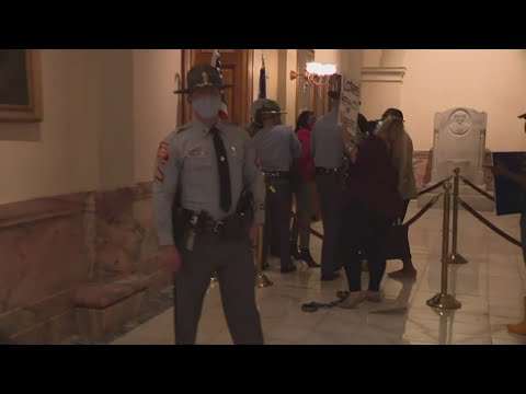 Police Arrest Georgia Lawmaker As Governor Signs Law ...