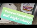GET RID of Algae and Phosphates and prevent Algae in pool #pool #swimmingpool