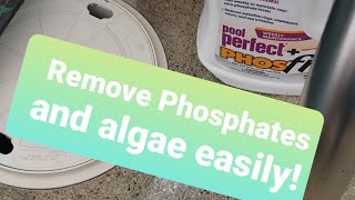 GET RID of Algae and Phosphates and prevent Algae in pool #pool #swimmingpool