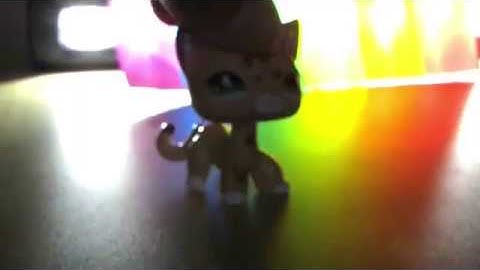 Flamingo MEP Part 13 for Tropics LPS [Pride Month Special]