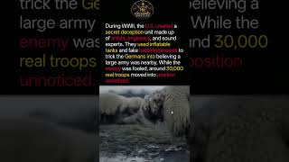 The Ghost Army: WWII’s Greatest Deception#trendingshorts #shortvideo