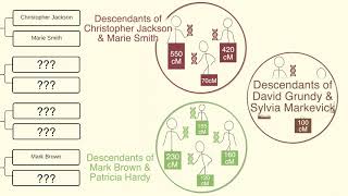 How DNA Testing Works with Genealogical Research by Kyler's Studio 93 views 2 years ago 2 minutes, 15 seconds