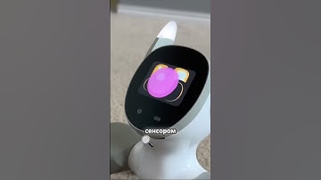 Интерактивный робот с умными функциями #aliexpress #товары #обзор