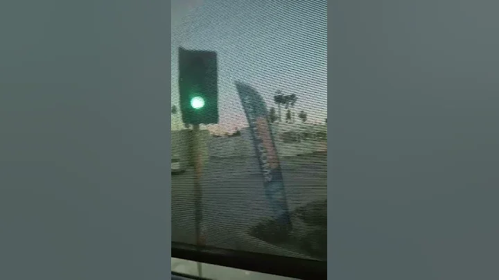 the bus