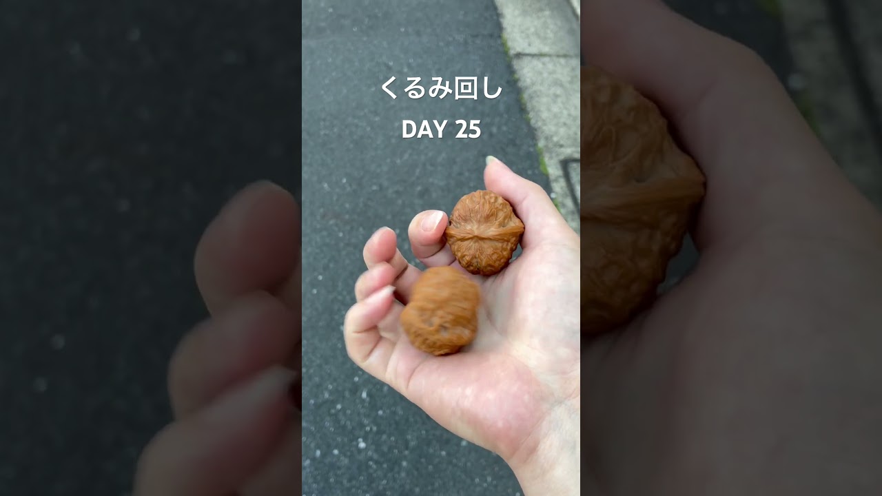 手遊びくるみ、毎日観察中　#aging