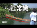 【三原直之】ジャバロンは世界一、泳ぎ出しの早いスイムベイト