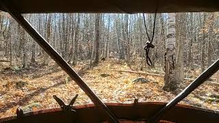 Barronett OX5 Hunting Blind and a view of what I see.