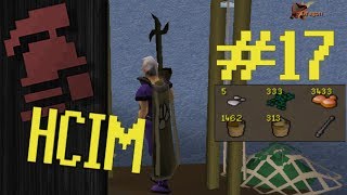 Iron Holy Trinity | Ep. 17 HCIM Progress