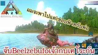 ARK Mobile มือถือ EP23 จับเจ้ากบเคโระกัน [Beelzebufo Taming]