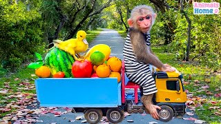 Bibi bought fruit at the supermarket and went home to cook breakfast for the ducklings by  Animals_Home 1,015,418 views 6 months ago 29 minutes
