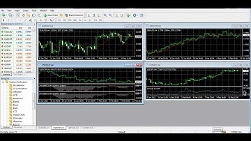 LiteForex video tutorial: Terminal pre-starting procedures (MT4)