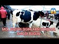 SHÒRO MOL BOZORI NARXLARI BUGUN BOZOR YORVORDI LEKIN KURINGLAR.