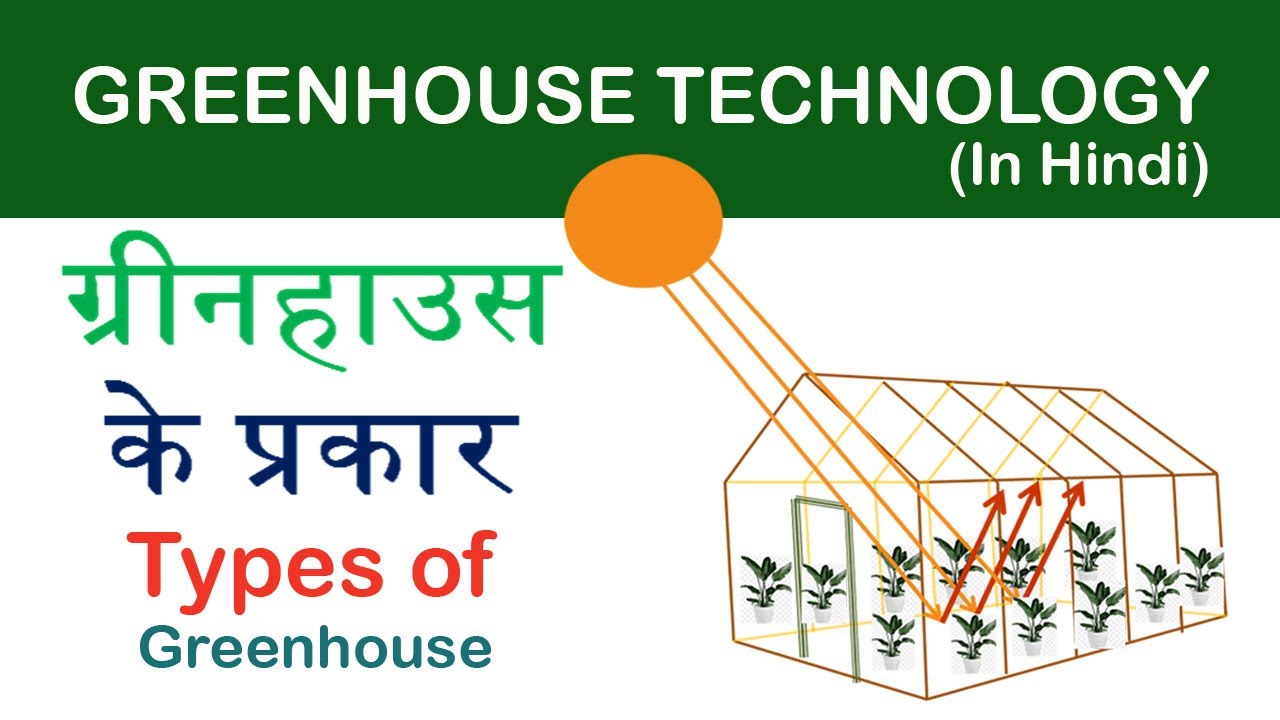 Types Of Greenhouse (IN HINDI) ,ग्रीनहाउस के प्रकार YouTube